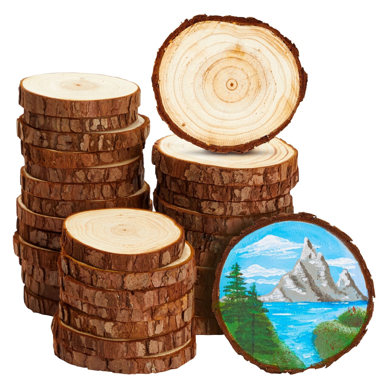 30 Pack Natural Wood Slices for Crafts, Unfinished, 2.7-3.1 Inch Diameter Discs, 0.4 Inches Thick